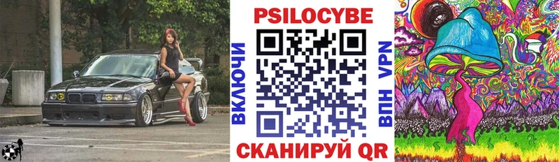 дарнет шоп  Димитровград  Галлюциногенные грибы ЛСД 